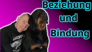 Hör nicht auf die "Hundeschule!" Warum Du und Dein Hund eben doch eine gute Bindung habt!