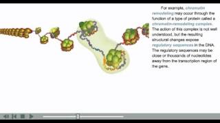 DNA Packaging Animation | chromatin, histone and nucleosome modifications