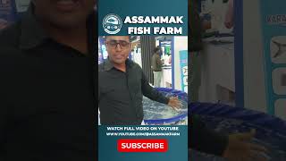 Assammak Stall at Expo Centre