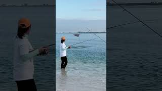 Hú hồn chưa? #cauca #fishing #câucá #fish #fishinglife #pompano #caucagiaitri #beach #fishvideo