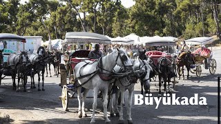 Büyükada Princes' Islands Turkey