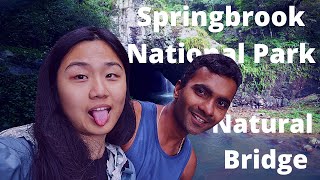 Springbrook national park natural bridge | Australia Travel Vlog