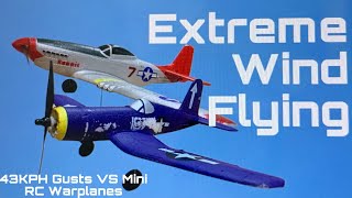 Mini RC Warplanes VS Extreme Wind