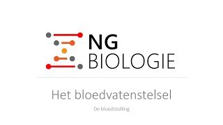 Het bloedvatenstelsel - de bloedstolling - HAVO/VWO