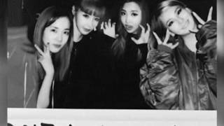 CL evokes nostalgia by posting an old picture of all four members of 2NE1