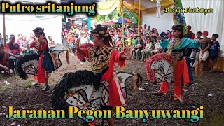 Jaranan Pegon Banyuwangi live Bagorjo srono