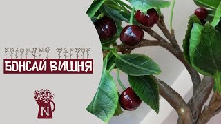 ЗАКУЛИСЬЕ. Бонсай вишня из холодного фарфора. Немного фото процесса