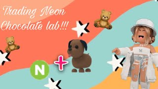 Does anyone have an offer for my ~Neon Chocolate lab~