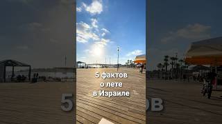 5 фактов о лете в Израиле! #жизньвизраиле #израиль #лето