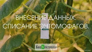 Внесение энтомофагов. Списание их со склада.