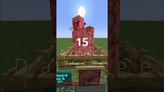 What is the MOST DAMAGE You Can do in MINECRAFT? #shorts