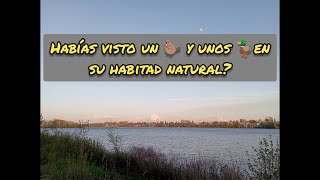 Lago contaminado en Canadá, habrá vida ????