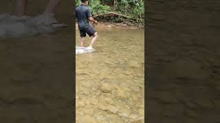 Throw Fishing nets Skill#videoshorts #catchingfish #traditional