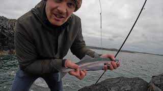 Lure LRF Fishing in Northumberland | First Lure Session of 2022 #lurefishing#LRF#uklurefishing