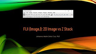 FIJI (ImageJ): 2D Image vs Z Stack