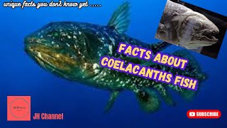 8 Facts about Coelacanths, Unique facts you don't know yet…