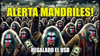 ALERTA MANDRILES! ESTÁ REGALADO EL USD!