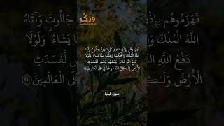 سورة البقرة الآيات من 251 إلى 252 بصوت القارئ مشاري راشد العفاسي #حالات واتس  #quran #shorts