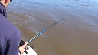 Muy buena pesca de dorados en todas las modalidades (COMPILADO)