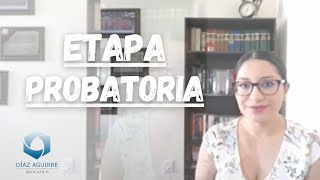 Etapa Probatoria | Díaz Aguirre Abogados Estado de México