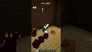 Minecraft 1.19 Epic Myth Busters #shorts