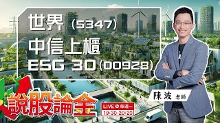 【Live】💥世界先進（5347）亮燈漲停，AI需求推動成熟製程族群補漲 🚀中信上櫃ESG(00928)ETF調整，🤩吸引投資人關注，你該怎麼選?    2024/07/01  19:30－說股論金