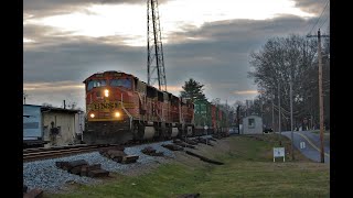 NS 222 with 2 Rare Visitors