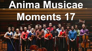 Anima Musicae Moments 17: W. A. Mozart - Eine Kleine Nacht Musik KV 525