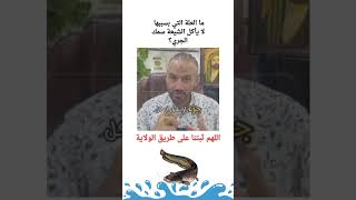 ماهو الشي المحرم على الشيعة ، وحلال عند السنة