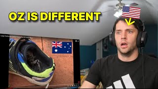 American reacts to Videos that show Australian Spiders are just different