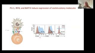 [Olga Zimmermannova] Restoring tumor immunogenicity with dendritic cell reprogramming