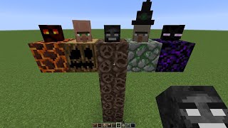 what if you create WITCH WITHER BOSS in MINECRAFT #737