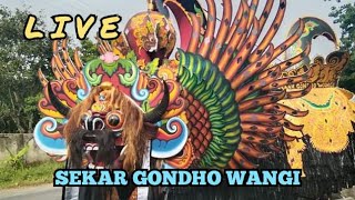 🔴 Live || Jaranan Campursari || SEKAR GONDHO WANGI