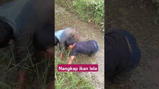 Nangkap #ikan#lele#lucu #shortvideo