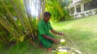 Cutting up some coconuts with a machete