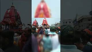 ulto rath yatra jagannath mandir puri🙏 #shorts #rathayatra #jagannath #puri #live #viral #ultorath