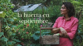 Plantas Beneficiosas y Cultivos de Septiembre - Preparando el Huerto Familiar para el Otoño