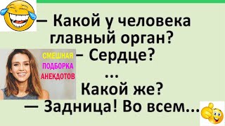 Какой у человека главный орган?... Сборник смешных анекдотов! Юмор! Смех!