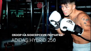 Обзор на боксерские перчатки adidas HYBRID 250 с новой системой фиксации.