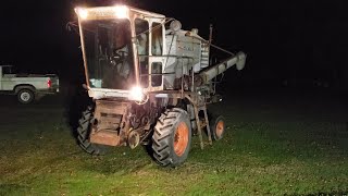 Working with cousin on his Gleaner K