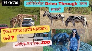 Wildlife safari tour - drive through |Oregon Winston Roseburg | Marathi America vlog #30