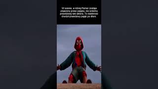 Ciekawostki o... Spider-Man