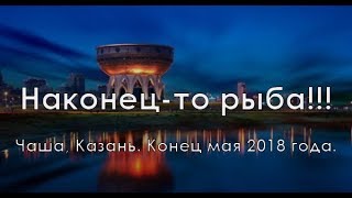 Наконец-то рыба!!! Чаша, Казань, конец мая 2018 года.