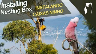 NEST BOX INSTALLATION - INSTALANDO CAIXAS NINHO - TASMANIA