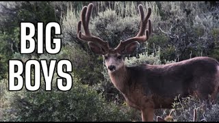 BUCKS KEEP GETTING BIGGER | HUNT PREPARATION [S1 EP9]