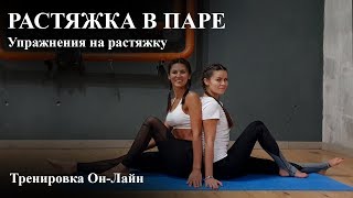 Растяжка в паре | Упражнения на растяжку | Парный стретчинг.