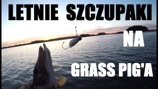 Letnie szczupaki na Grass Pig'a