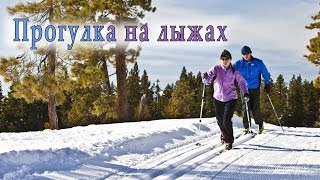 Лыжная прогулка на природе Северного края