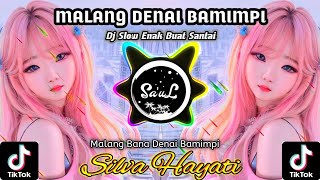 Dj Malang Denai Bamimpi - Silva Hayati • Dj Santai Full Bass •