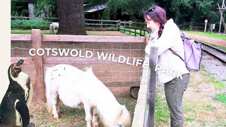 Day In The Life | COTSWOLD Wildlife Park Vlog